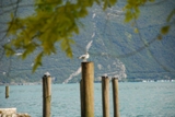 Clicca qui per vedere l'immagine in dettaglio